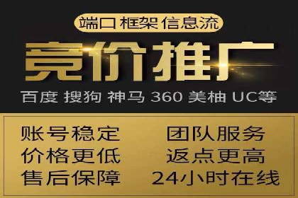 百度广告投放策略与效果评估案例